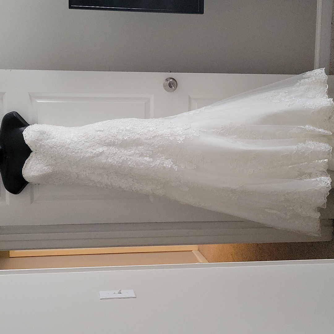 The Bride